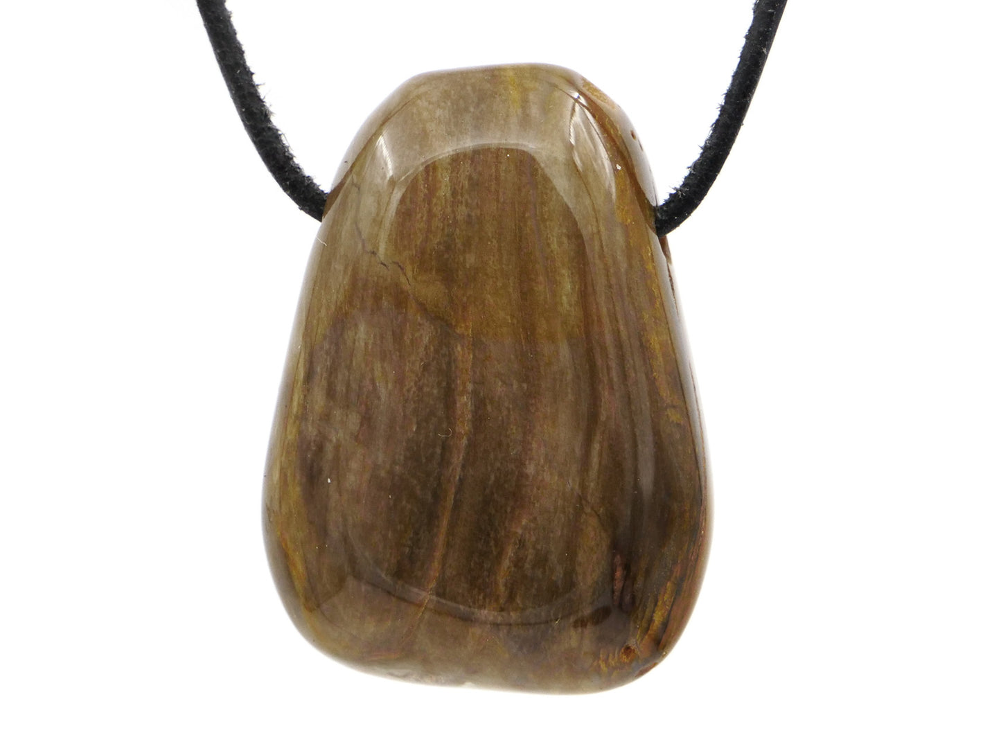 Bois pétrifié (fossile) - Pendentif pierre percée