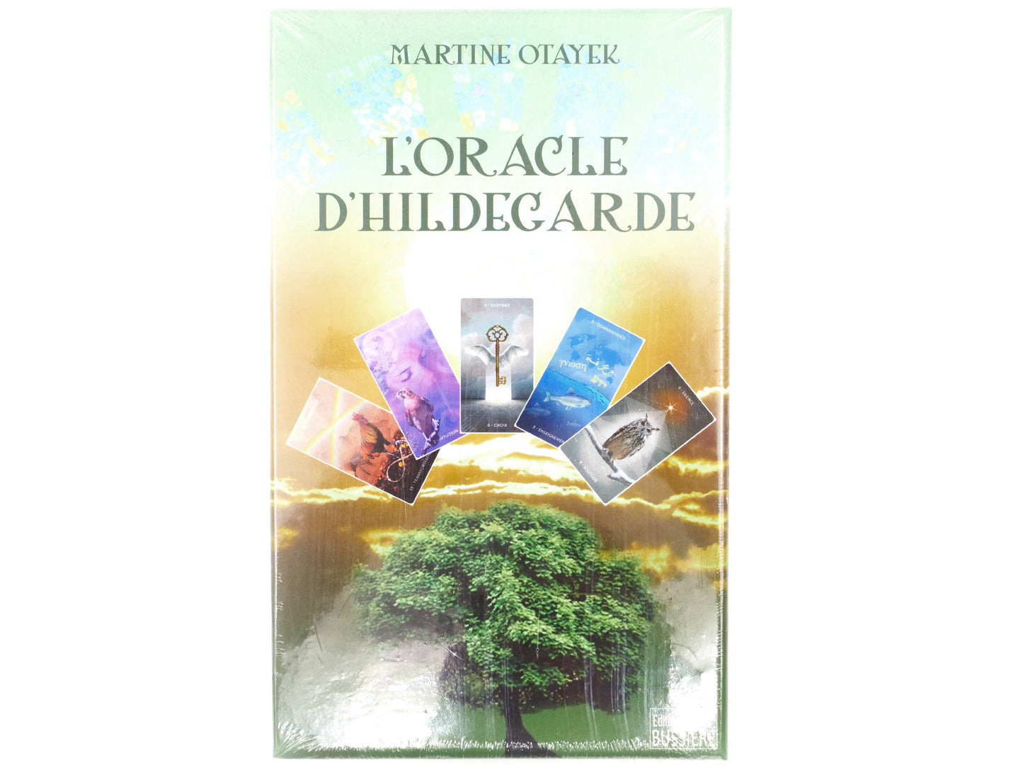 L'oracle d'Hildegarde