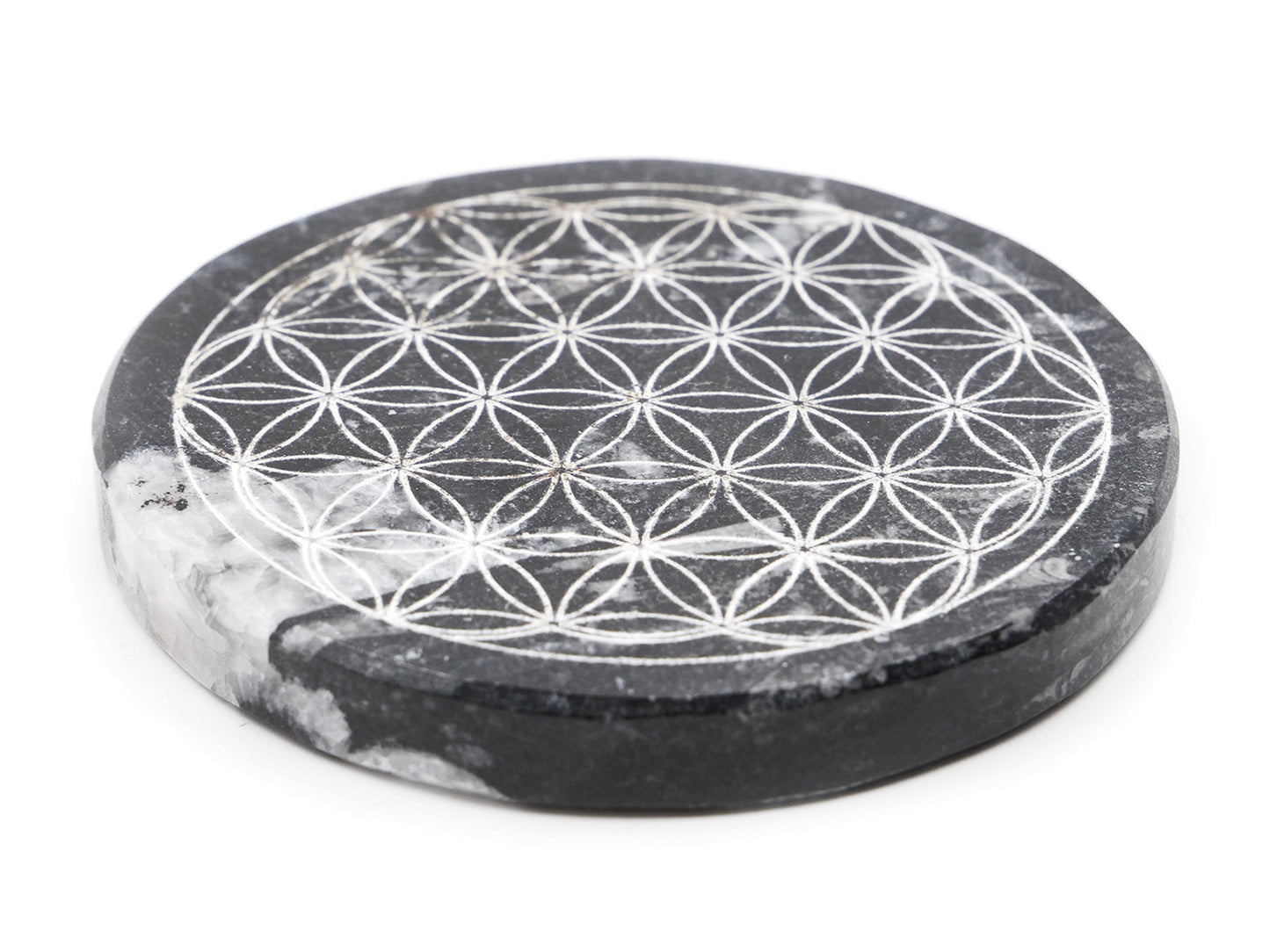 Plaque en Orthocéras (fossiles) - Fleur de vie