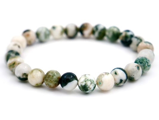 Bracelet en agate d'arbre - 8mm