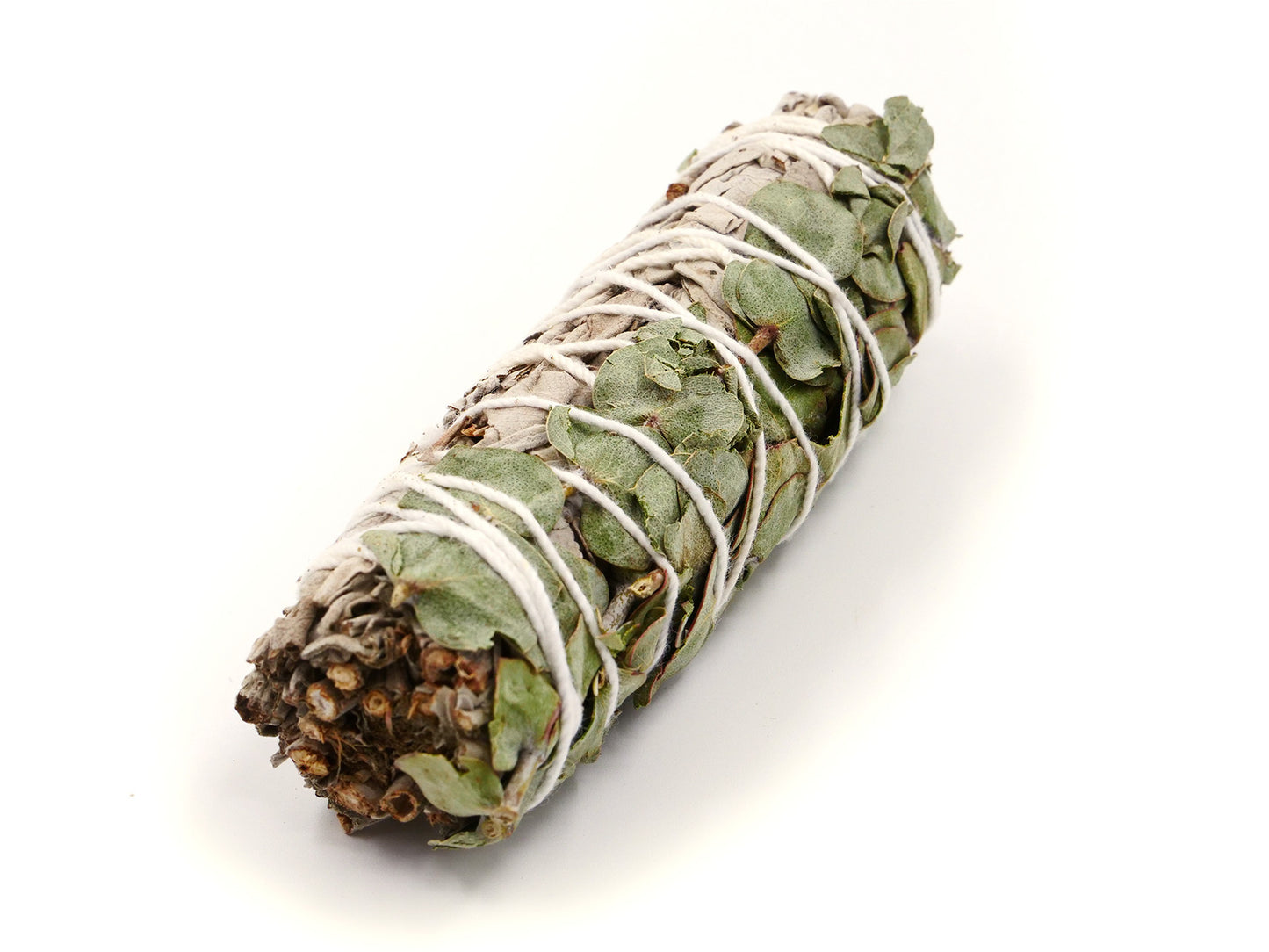 Sauge blanche de Californie et eucalyptus