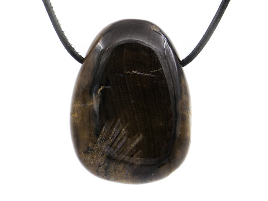 Bois pétrifié (fossile) - Pendentif pierre percée