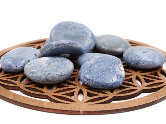 Corail fossile bleu - Pierre roulée