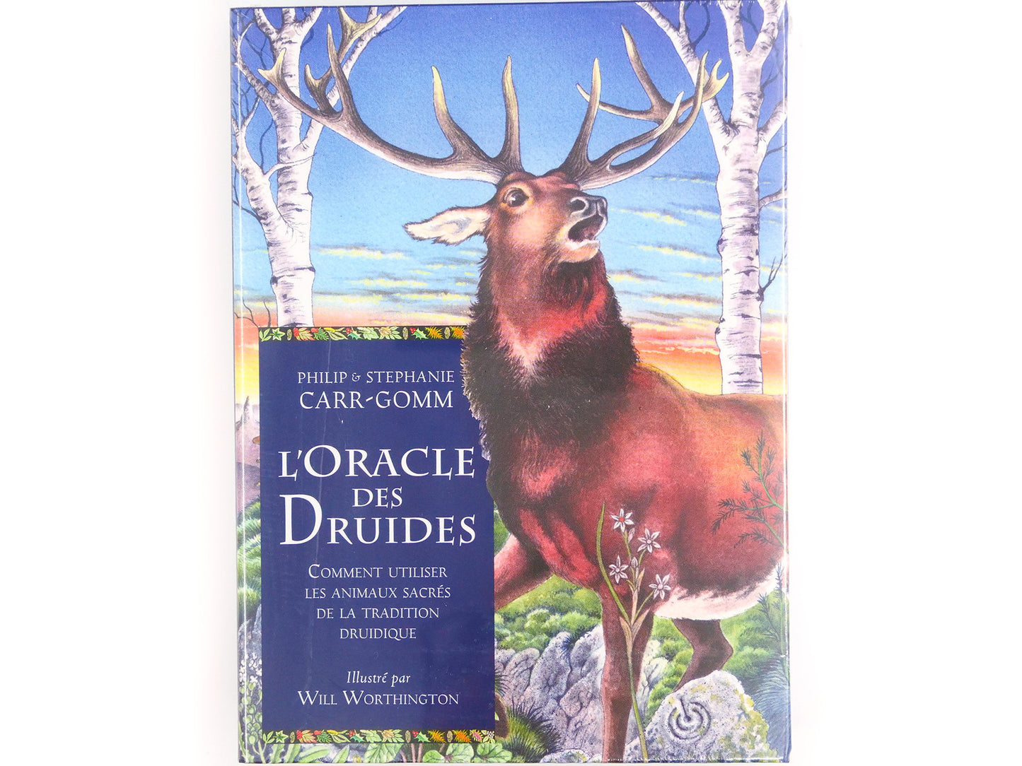 L'oracle des druides