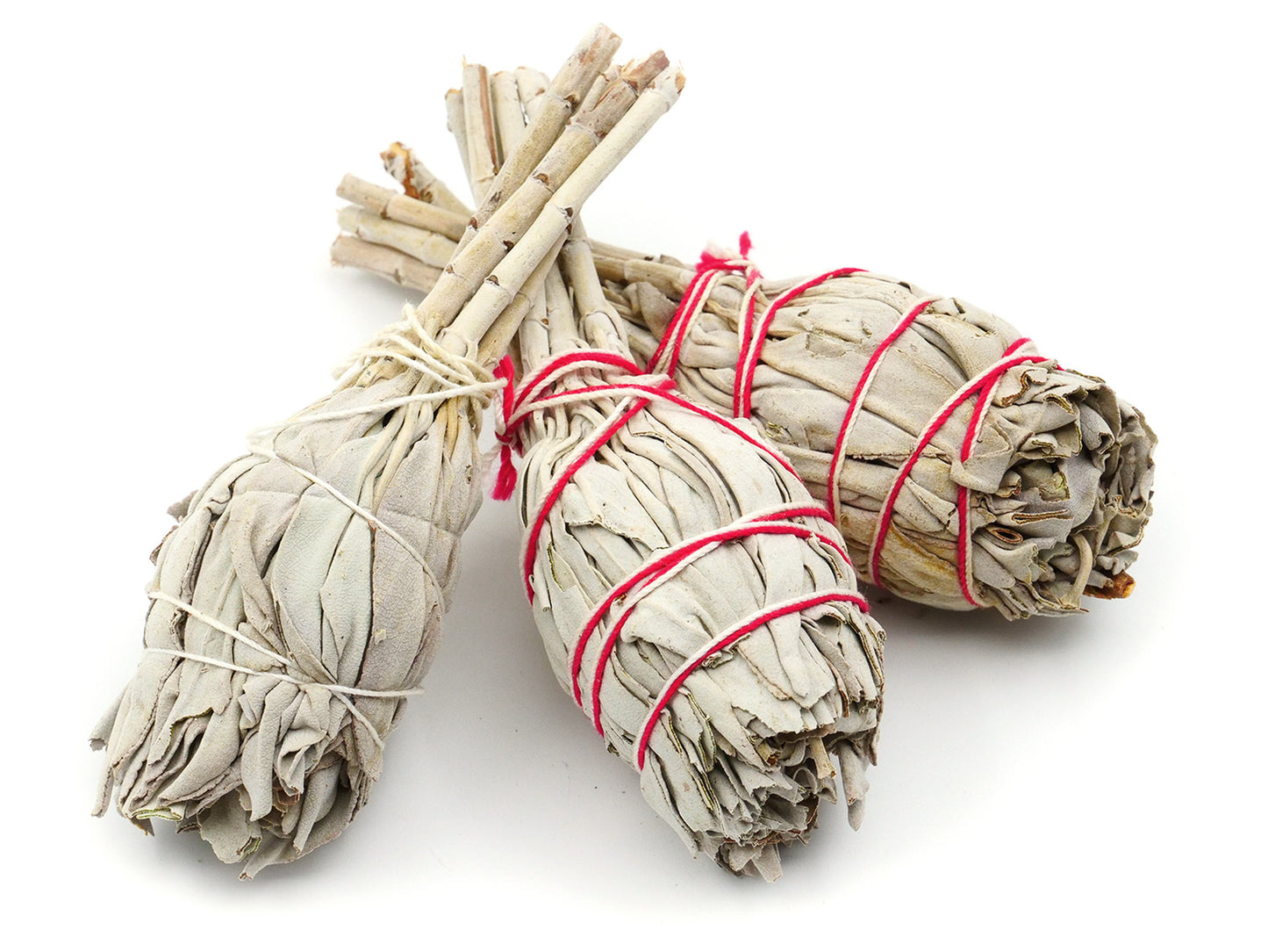 Sauge blanche de Californie - Pack de 3