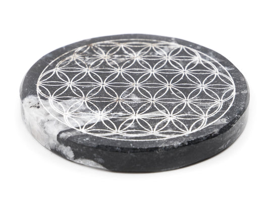 Plaque en Orthocéras (fossiles) - Fleur de vie