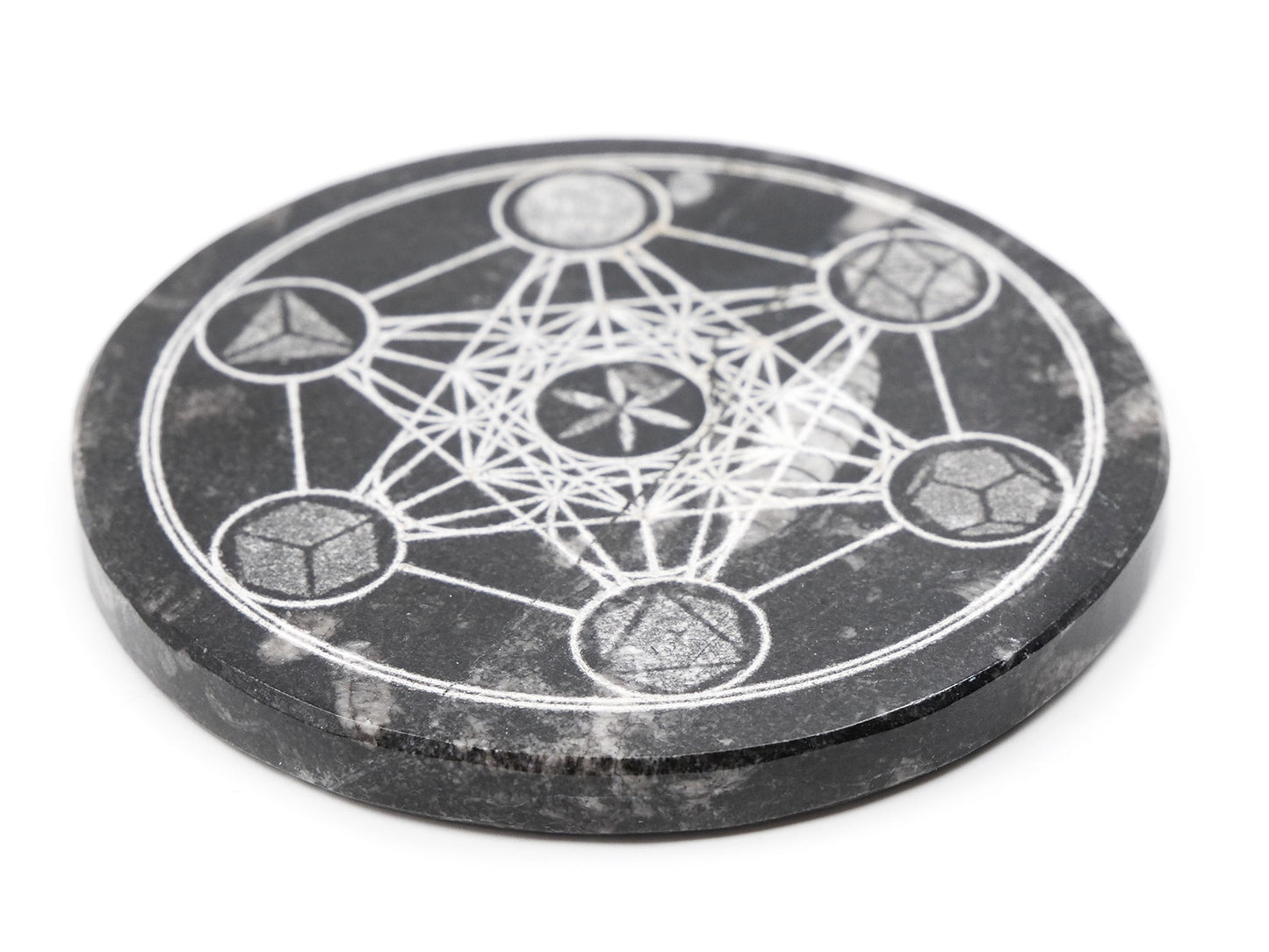 Plaque en Orthocéras (fossiles) - Métatron