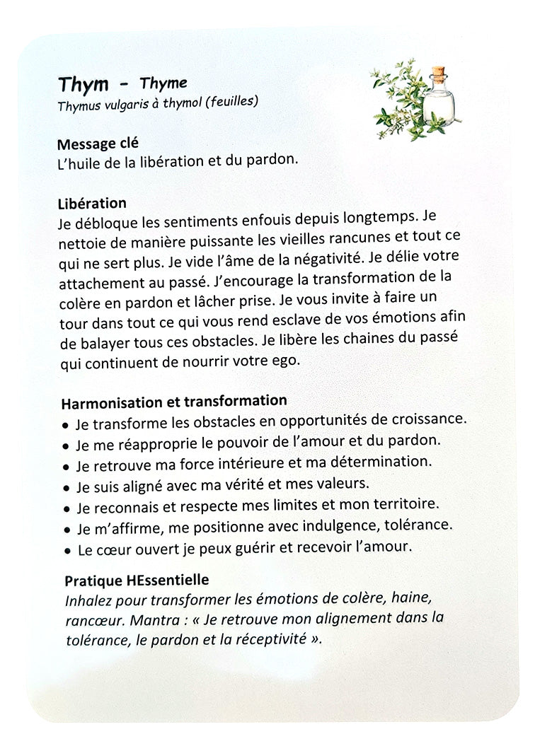 Éveil Aromatique - Un voyage unique de transformation et d'exploration
