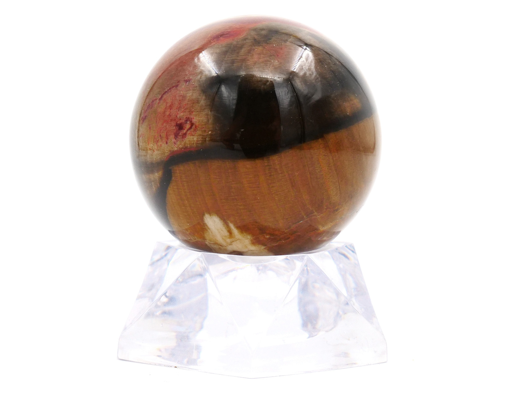 Bois pétrifié (fossile) - Boule 5 cm